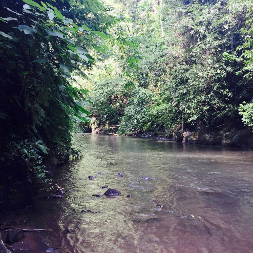 White water rafting at Ubud. 